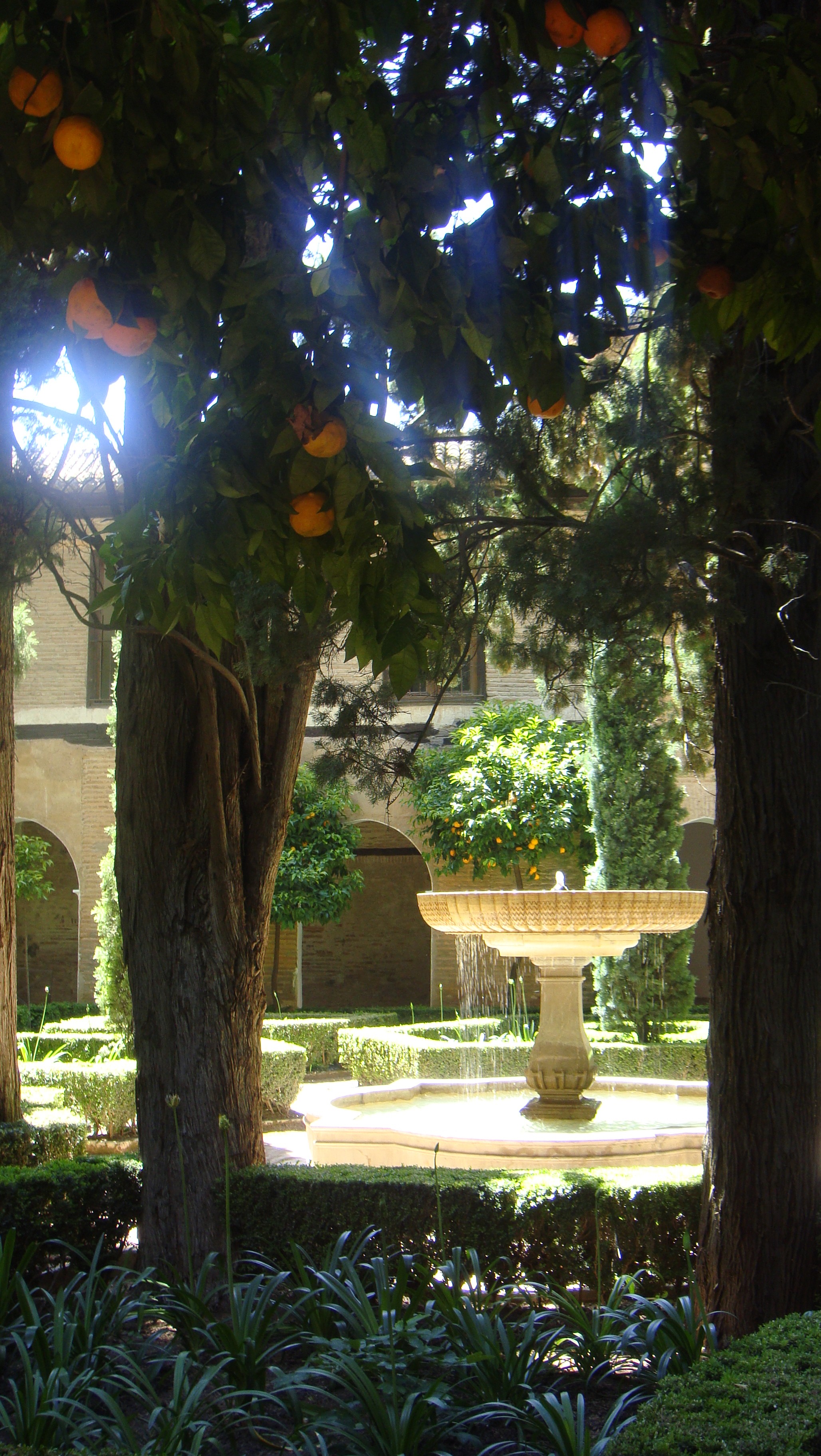Patio mit Orangenbaum und Brunnen