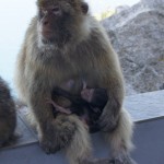 Mama und Kind